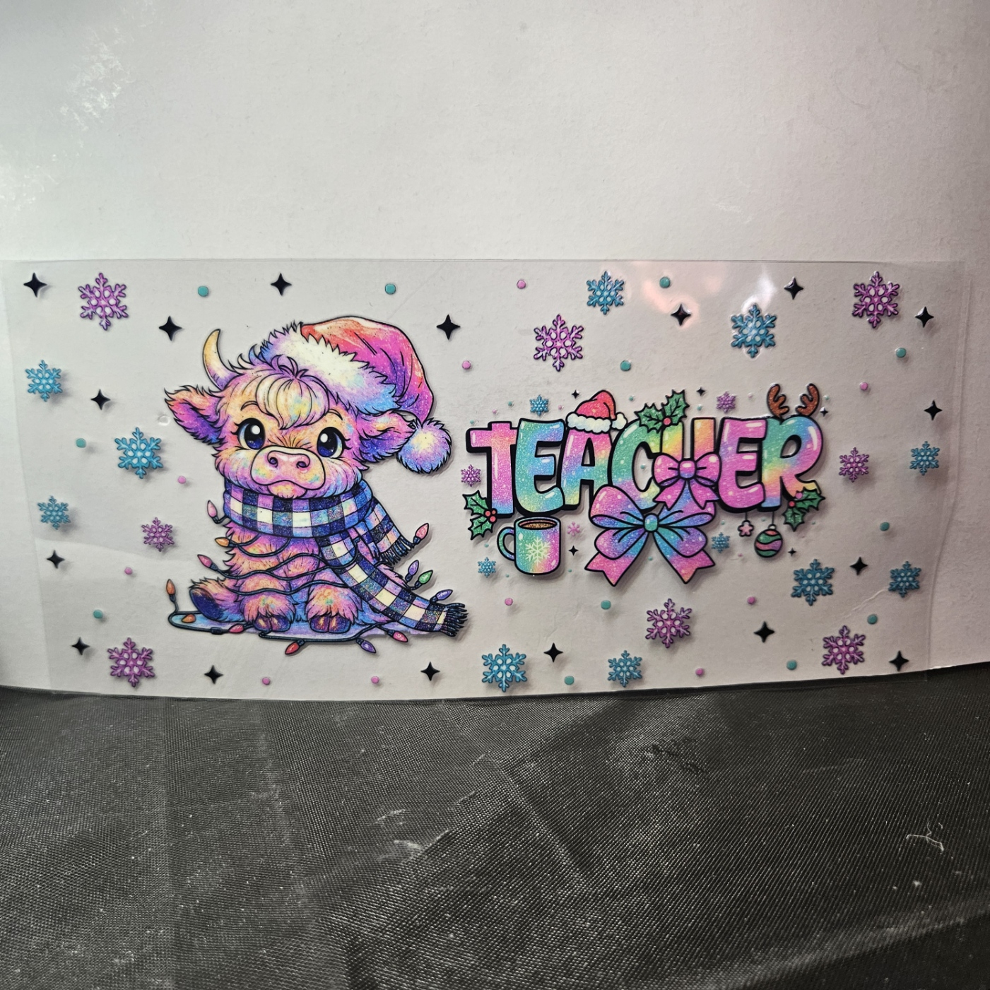Teacher-4